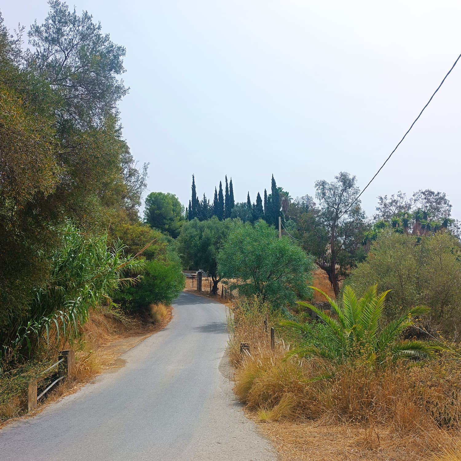 Parcela en Campo Mijas