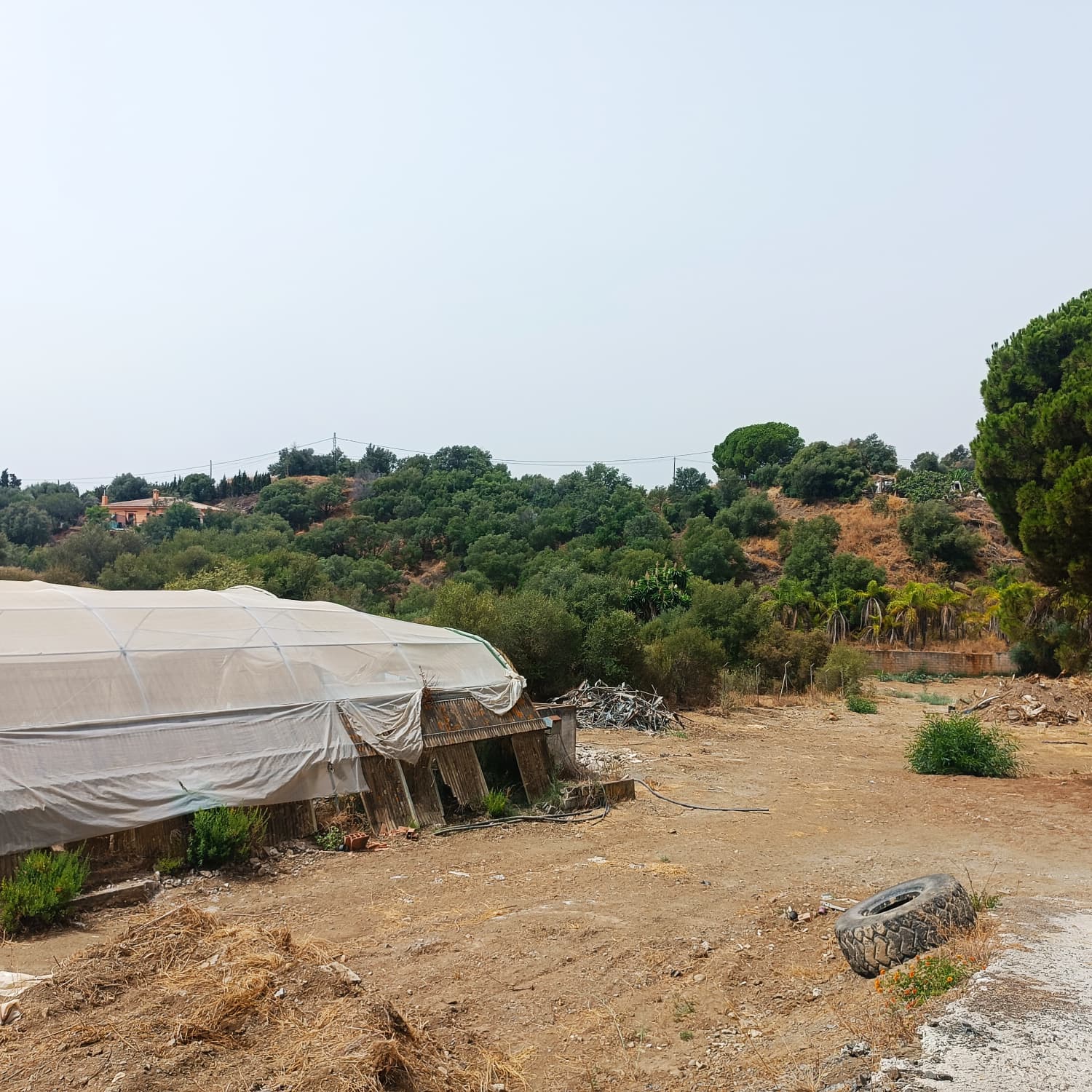 Parcela en Campo Mijas