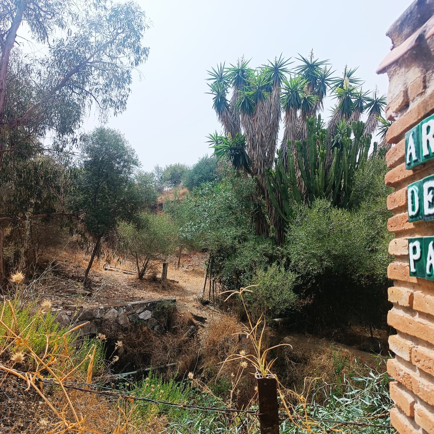 Parcela en Campo Mijas