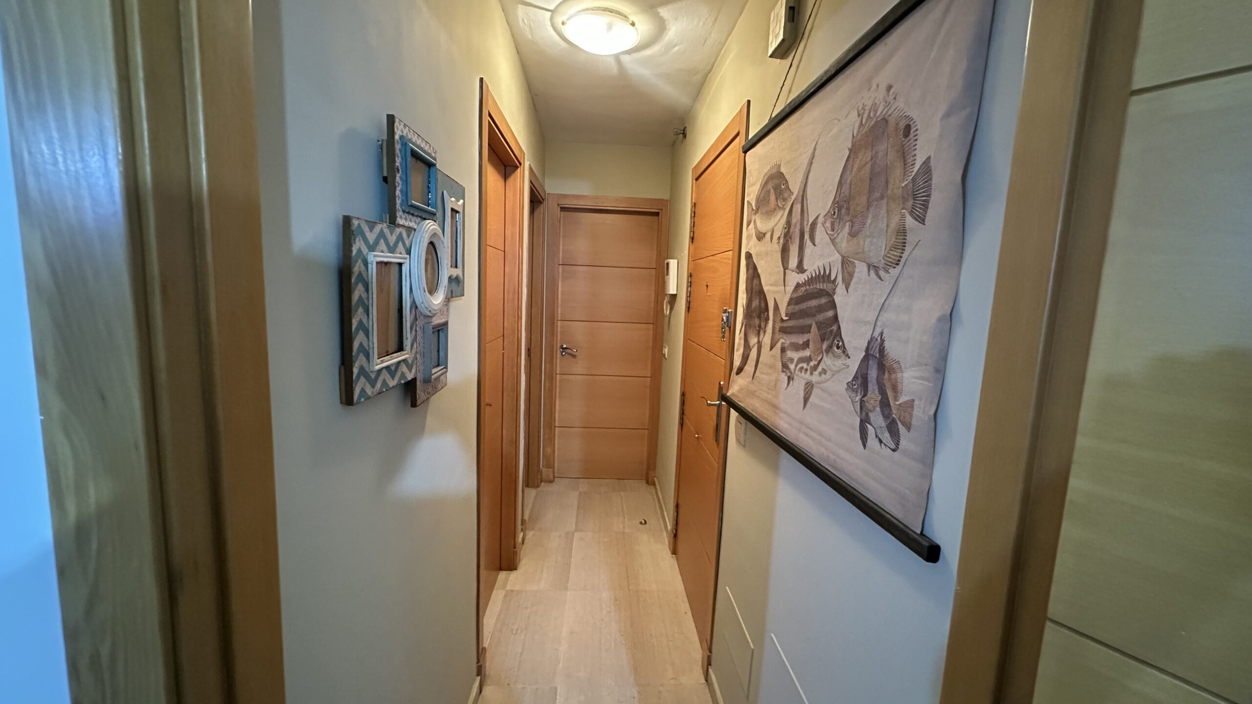 Apartamento Planta Media en Carvajal