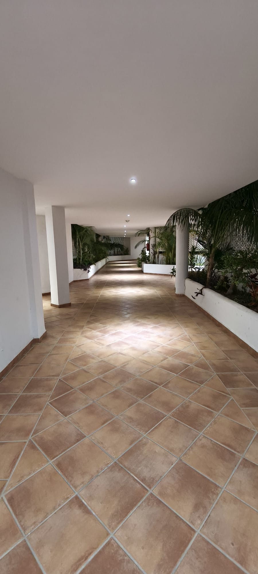 Ático en Puerto Banús