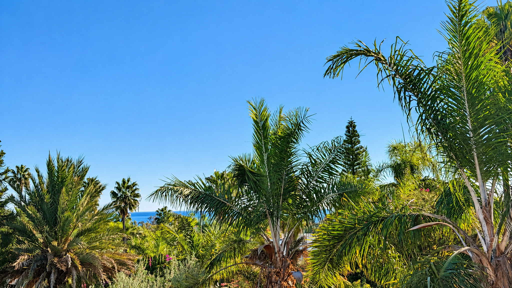 House in Marbella